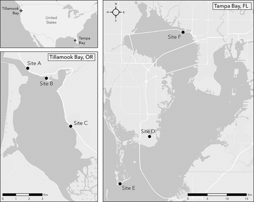 Figure 1. Overview map of study sites (i.e. A–F) in both Tillamook Bay, Oregon and Tampa Bay, Florida. Tampa Bay is roughly 30 times larger than Tillamook Bay, as clearly shown by the different magnitudes of the scale bar insets in the respective maps.