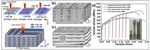 Figure 2. (a) The DED fabrication processes of producing martensitic grade 300 maraging steel and 316L voxelized heterostructured materials. (b) 3D optical microscope image of voxelized heterostructured materials (VHM). (c) Optical microscope image of layerwise heterostructured materials (LHM). (d) Engineering stress-strain curves for both VHM and LHM samples, along with true stress-strain curves and load-unload-reload behavior for the VHM sample. Reprinted with permission from Ref. [Citation29].