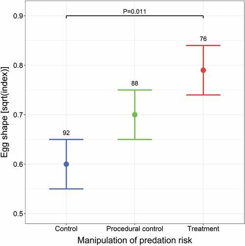 Figure 2. The effect of predation risk manipulation on square-root transformed egg shape estimated by the GAMM presented in Table I. Means with SE are shown. Sample sizes are given above bars. P-values for only significant differences between groups are presented.