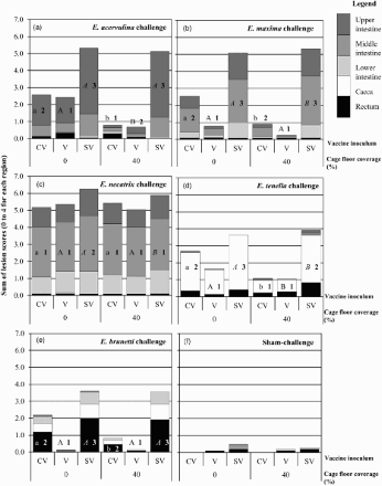 Figure 4. Lesion scores following high-dose challenges. Cumulative mean lesion scores (0–4 per region, with a maximum cumulative score of 20) for five regions of the intestinal tract (i.e. upper intestine, middle intestine, lower intestine, caeca and rectum) for each CFC and vaccine treatment (V – vaccinated; CV – contact-vaccinated; SV – sham-vaccinated) combination following high-dose challenge with the following: (a) E. acervulina; (b) E. maxima; (c) E. necatrix; (d) E. tenella; (e) E. brunetti; or, (f) sham-challenge (i.e. saline only)). Statistical significance was reported on a comparison of the reporter diagnostic region (i.e. E. acervulina – upper intestinal region; E. maxima – middle intestinal region; E. necatrix – middle intestinal region; E. tenella – caeca or E. brunetti – rectum). For each challenge, groups displaying different letters differ significantly (P ≤ 0.05) between CFC modifications within the same vaccine inoculum group (e.g. CV/0% versus CV/40%). Groups displaying different numbers differ significantly (P ≤ 0.05) between vaccine inoculum groups within the same CFC modification (e.g. CV/0% versus SV/0%).