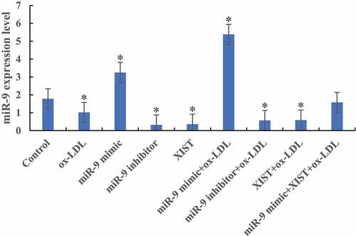 Figure 1. The difference of miR-9 expression level in cells among groups (* P < 0.05).