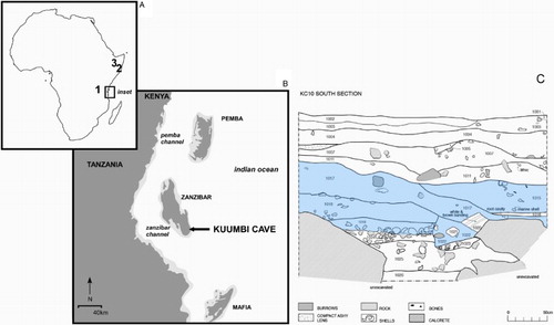 Figure 1. Location of Kuumbi Cave and the south section of Trench 10 indicating (in blue) the contexts from which the bone technologies discussed were recovered.