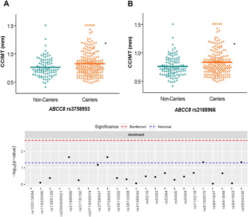 Figure 2. Distribution of common carotid intima media thickness (CCIMT) values according to different genotypes of ABCC8 in patients with diabetic nephropathy. The Manhattan plot shows the p-value for the association of all the SNPs studied. *p < 0.05.