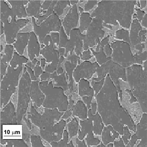 Figure 1. Microstructure of the as-received 1018 carbon steel.