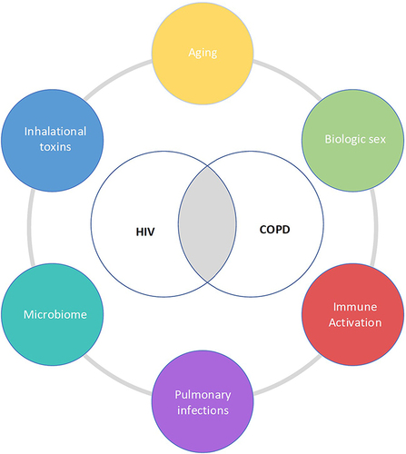 Figure 1 Drivers of COPD in PWH.