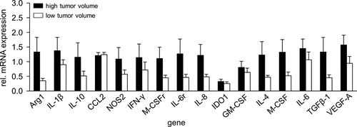 Figure 6. Comparison of gene expression in high- and low volume tumors. To show impact of a tumor volume on mRNA gene expression, samples from tumors showing high- (>600 mm3, black columns) and low volumes (<500 mm3, white columns) were analyzed with RT-PCR analysis. Expression levels of mRNA were determined relative to the internal control GAPDH. Data are shown as mean of relative mRNA expression from at least three independent experiments