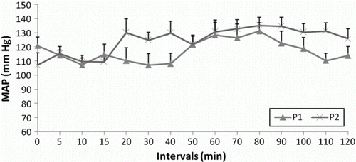 Figure 4.  Mean arterial pressure (MAP) at different time intervals in the animals of P1 and P2 groups.