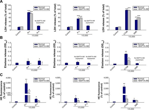 Figure 6 Effects of treatment of human neutrophils with nanoparticles and cationic surfactants with or without BAPTA-AM (20 μM).Notes: (A) LDH release; (B) elastase release; (C) O2•− production. Some formulations were excluded in the BAPTA-AM experiment due to the lack of elevation of these mediators in the absence of BAPTA-AM. *P<0.05; **P<0.01; ***P<0.001 compared to the control. #P<0.05; compared to the corresponding control.Abbreviations: BAPTA-AM, 1,2-bis(2-aminophenoxy)ethane-N,N,N’,N’-tetraacetic acid; CTAB, cetyltrimethylammonium bromide; HE, hydroethidine; LDH, lactate dehydrogenase; N-c, CTAB-coated NLCs; NLCs, nanostructured lipid carriers; N-s, SME-coated NLCs; P-c, CTAB-coated PLGA nanoparticles; PLGA, poly(lactic-co-glycolic) acid; P-s, SME-coated PLGA nanoparticles; SME, soyaethyl morpholinium ethosulfate.