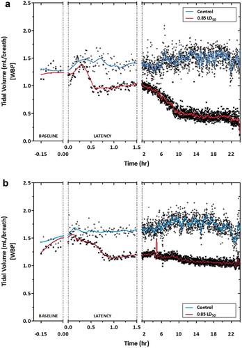 Figure 3. Tidal volume of rats after exposure to 1080. Both female (a) and male (b) rats were exposed to a 0.85 LD50 dose of 1080 and observed in a whole-body plethysmograph chamber for 24 h. We observed an overall decrease in the tidal volume, starting about 30 min after exposure. The decrease plateaued, even after major convulsions (~1.5 h). In females a second decrease occurred from 2 h to 10 h. In males we did not observe a further decrease in tidal volume after the initial decrease at 30 min. Blue = Smooth fit of Control, Red = Smooth fit of Exposed, Females n = 4–8, Males n = 7–19.