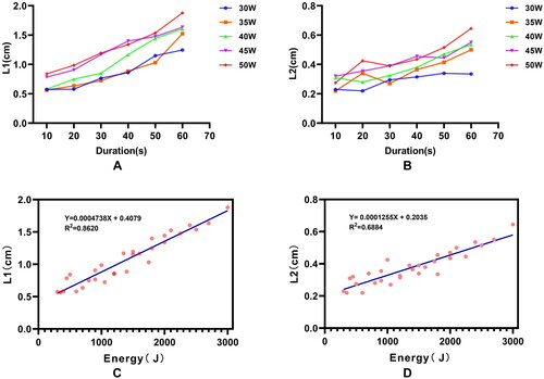 Figure 2. Pathology measurements of the ex vivo porcine brain ablation areas.Note: A, B The range of brain tissue ablation areas increases with the increase of ablation power and time, and the L1 and L2 of the ablation areas increase to varying degrees. C, D Establish a correlation equation through linear regression equation indicate the ablation range expanded with the increase of microwave energy.