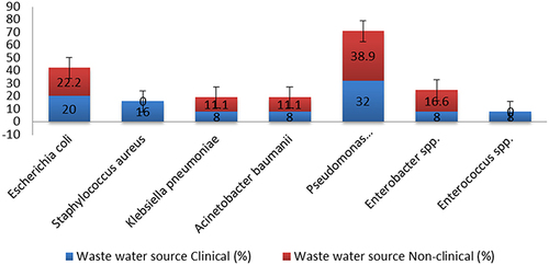 Figure 2 Percentage of ESKAPEE bacteria in wastewater sources. Gram-negative bacteria were predominant in both clinical and nonclinical wastewater, while Gram positive species were recovered exclusively from clinical wastewater.