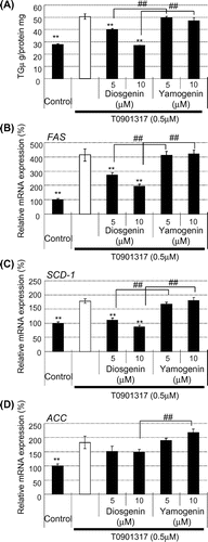 Fig. 6. No effect of yamogenin was observed in the presence of an LXR agonist.Notes: HepG2 hepatocytes were treated with diosgenin or yamogenin at the indicated concentrations for 24 h in the presence of an LXR agonist (500 nM T0901317). TG accumulation (A) and mRNA expression level (B–D) were measured. The values are means ± S.E.M. of 3–4 samples in the measurement of TG accumulation. In the measurement of mRNA expression level, the value of a vehicle control was set at 100% and relative value is presented as fold induction with respect to that of each vehicle control. The values are means ± S.E.M. of 3–4 samples. **p < 0.01 compared with each T0901317 treatment and ##p < 0.01 compared between indicated groups.