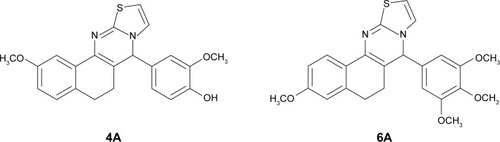 Figure 1 Chemical structures of 4A (2-methoxy-4-(2-methoxy-6,7-dihydro-5H-benzo[h] thiazolo[2,3-b]quinazolin-7-yl)phenol) and 6A (3-methoxy-7-(3,4,5-trimethoxyphenyl)-6,7-dihydro-5H-benzo[h]thiazolo[2,3-b]quinazoline).