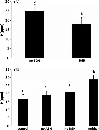 Figure 4.  Mean and standard error of P by (A) having BGH vs. not having BGH and (B) AGH ×BGH interaction.