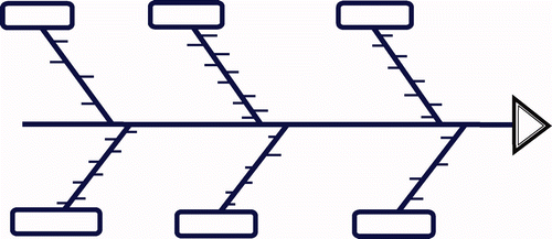 Figure 1. The fishbone.