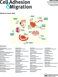 Cover image for Cell Adhesion & Migration, Volume 10, Issue 6, 2016