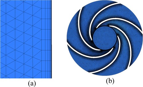 Figure 2. Mesh of fluid domain: (a) Boundary layers; (b) Impeller.