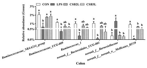 Figure 4. Effects of coated sodium butyrate (CSB) on relative abundances of bacterial genera (accounted for ≥1% in the samples that affected) in colon of weaned lambs with LPS (%). CON: basal diets without supplement; LPS: control diet with lipopolysaccharide; CSB2L: LPS treatment group supplemented with 2 g/kg CSB. CSB3L: LPS treatment group supplemented with 3 g/kg CSB. a, b, c Mean within a row with different superscripts are different at p < .05.