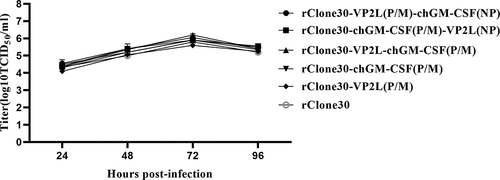 Figure 3. Growth characteristics of recombinant viruses. DF1 cells were evenly transfected with each virus at 0.1 MOI, and cell supernatants were collected at 24, 48, 72, and 96 h, and viral titre was calculated as TCID50 by the reed and Muench method.