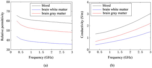 Figure 1. Relative permittivity and conductivity of blood, brain white matter and brain grey matter: (a) relative permittivity; (b) conductivity.