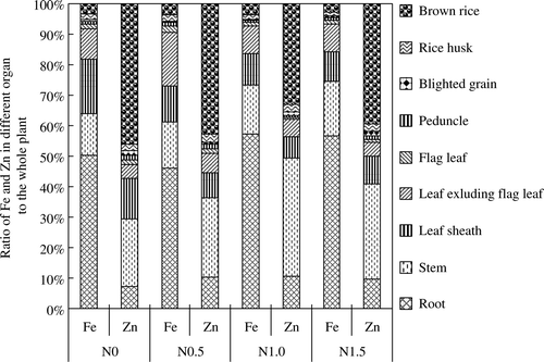 Figure 1.  Ratio of Fe and Zn in organs to the whole plant of the japonica ‘Bing 98110’ as affected by N levels.