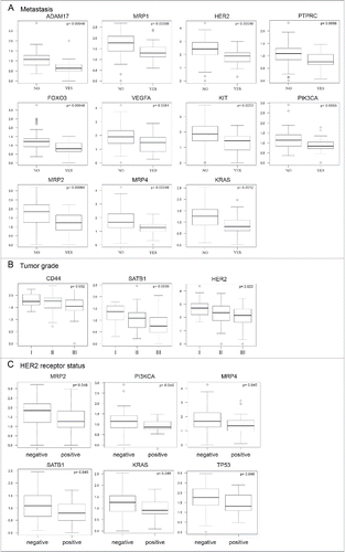 Figure 4. Correlation analyses of gene expression profiles and clinical parameters of patients. Each plot represents correlation of particular gene expression with formation of metastasis (A), tumor grade (B), and HER2/neu receptor status (C). We observed that downregulated expression of selected genes in the PBMCs of breast cancer patients (n = 147) is significantly associated (p ≤ 0.05, p-values are controlled for false positives) with formation of metastasis (A), tumor grade (B), and HER2/neu receptor status (C).