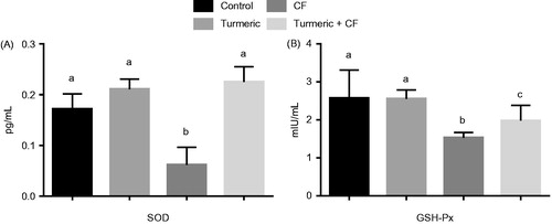 Figure 5. The effects of turmeric and CF on the activities of (A) superoxide dismutase (SOD) and (B) glutathione peroxidase (GSH-PX) in the liver tissue of normal and treated rats. Data are expressed as mean ± SD of seven animals per group. The bars with different superscript (a, b, c) denote significance differences based on an one-way ANOVA followed by Tukey’s multiple comparison tests.