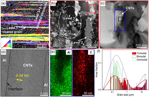 Figure 1. Typical microstructures of CNT/Al-Cu-Mg composites with the trimodal grain structure. (a) IPF map showing three level grain structures. (b) Dark-field TEM image showing level 2 and level 3 grain structures. (c) Bright-field TEM image of Level 3. (d) HRTEM image of the interface-contained region in Level 3, which was indicated by the black box in (c). (e) Al and C EDX maps of the marked blue region in (c). (f) Grain size distribution of composites with deliberately controlled grain structures. The data were statistically estimated by integrating TEM and EBSD analyses.