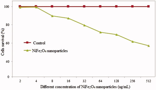 Figure 7. The percentage of MCF-7 cells survival after exposing with different concentration of NiFe2O4 nanorods particles synthesis using Rosemary.