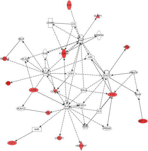 Figure 1.  Network 1 identified by IPA showing differentially expressed genes in male adult hippocampus after neonatal respiratory C. muridarum infection. Red shading indicates up-regulation of the gene. No color indicates genes that form the network and have no change in expression in the present study. Fourteen genes were differentially expressed and associated with tissue morphology, cellular development, and connective tissue development and function. For example, 11β-HSD1 gene expression was altered following male neonatal infection and was indirectly regulated by IL-4. For full names of genes involved in the network, see Table IV.