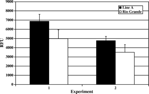 Figure 5.  Day 14 post-hatch heterophil oxidative burst. Results are presented as two separate experiments. Data represent average relative fluorescence units (RFU) per experiment±standard deviation. Heterophils were isolated from pooled peripheral blood from 100 turkeys from each line in each experiment. Heterophils were stimulated with 2 µg/ml (PMA) for 1 h at 39°C. No significant differences were observed (P > 0.05).