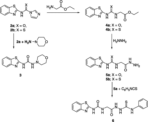 Scheme 2 The synthetic pathway of 3–6.