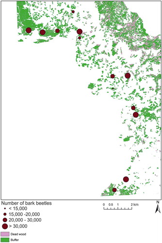 Figure 5. Location of the pheromone traps overlapping a portion of the study site and the density of sampled beetles overlaid on a classification of synthetic RapidEye NDVI.