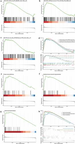 Figure 4. Immune-related pathway enrichment analysis. (a-h) GSEA for immune-related pathways