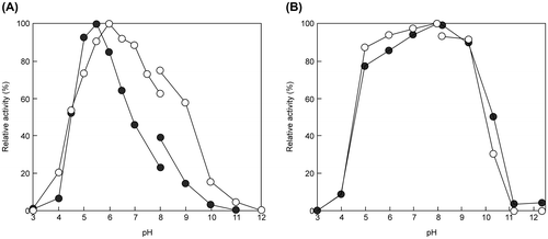 Fig. 7. Effect of pH on the activity (A) and stability (B) of EfEG1 and EfEG2.