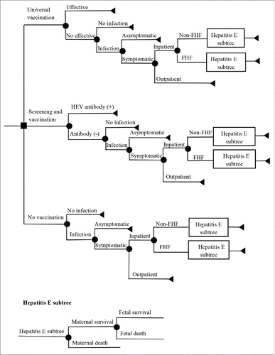 Figure 2. Cost-effectiveness model Abbreviations: HEV: hepatitis E virus; FHF: fulminate hepatitis failure; Non-FHF: non-fulminate hepatitis failure.