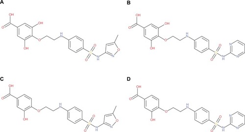 Figure 2 Structures of the designed hybrid compounds, “phyto-drug” (phytochemicals–antibiotics conjugates, (A) PD_1a; (B) PD_1b; (C) PD_2a; (D) PD_2b.