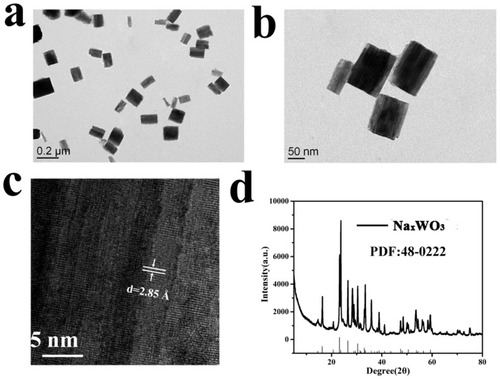 Figure 1 (A) and (B) TEM images of NaxWO3 nanoparticles. (C) High-resolution TEM image of a NaxWO3 nanoparticle. (D) XRD pattern of NaxWO3 nanoparticles.Abbreviations: TEM, transmission electron microscopy; XRD, X-ray diffraction.