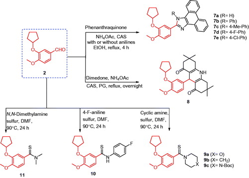 Scheme 2. Synthesis of the designed compounds 7–11.