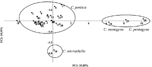 Figure 2. Scatter plot revealed by principal component analysis using morphological characters of hawthorn species.