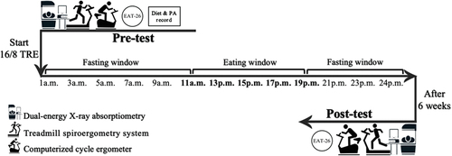 Figure 1. Study design. TRE, Time-restricted eating; PA, Physical activity; EAT-26: Eating attitudes test.