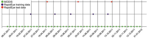 Figure 2. Overview of the data acquisition times in 2011. The green dots are the 8-day MODIS reflectance composites, purple dots are the RapidEye data used for training the data fusion, and red dots are the RapidEye data used as independent validation datasets.