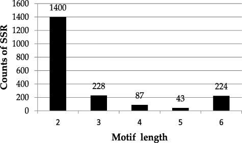 Figure 3. Number of different repeat motifs in S. lazica.