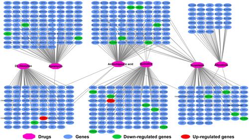Figure 16 Drug-gene interaction network of compounds identified by CMap.