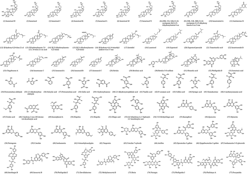 Figure 2. Structures of bioactive compounds isolated from Inonotus obliquus.