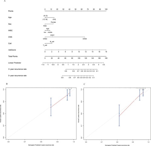 Figure 5. Nomogram Predicting recurrence rate for CNSL Patients in training dataset. (A) The nomogram was constructed based on six prognostic factors. The calibration plots for the internal validation of the nomogram predicting 3-year (B) and 5-year (C) recurrence rate.