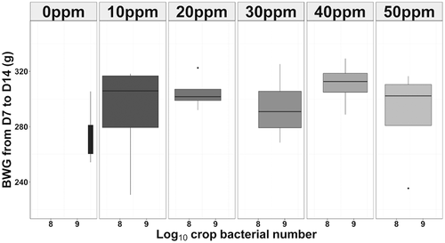 Figure 1. Observed effect of PAA on crop log10 BN. The latter was significantly correlated to BWG especially when PAA was administered at 40ppm. This could indicate a possible correlation between PAA and performance through interacting with upper-gut microbiota