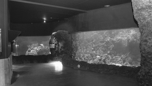 Figure 2 Grouper Aquarium (left) and Deep Reef Aquarium (right).