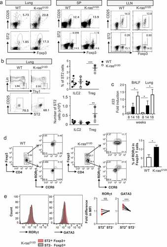 Figure 2. ST2 expressing CD4+Foxp3+ T cells were increased in Kras-mutated lung cancer. (a) Representative flow cytometric analysis of Tregs from tumor lung, spleen (SP), and lung-draining lymph node (LLN). (b) Representative flow cytometric analysis of type 2 innate lymphoid cells (ILC2s) from lung tumor. Percentage and absolute number of ILC2s in tumor. Each dot represents an individual mouse (n = 4–8 mice per group). (c) mRNA expression of IL-33 in tumor lung and BALF during tumor progression at weeks 8, 14, and 18 (n = 3–6 mice per group). n/d, not detected. (d) Representative flow cytometric analysis and percentage of RORγt expressing Tregs from normal lung and tumor tissues. (e) Correlation of ST2 expression with RORγt and GATA3 (n = 8). Data are mean and s.d