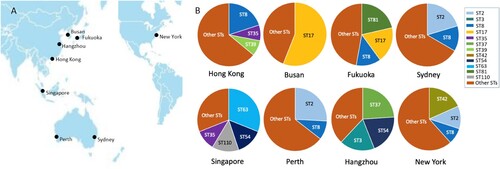 Figure 1. Distribution of STs at each site in this study. A: The seven sites are distributed in the Asia-Pacific region, and one comparative clinical site is New York, USA. B: Each site had various STs with different types of distribution. The major STs of C. difficile were labelled with different colours.